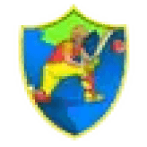 Team logo